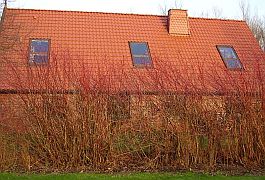 Dachfenster